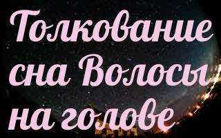 К чему снится девушка с красивыми длинными волосами - ваши сны