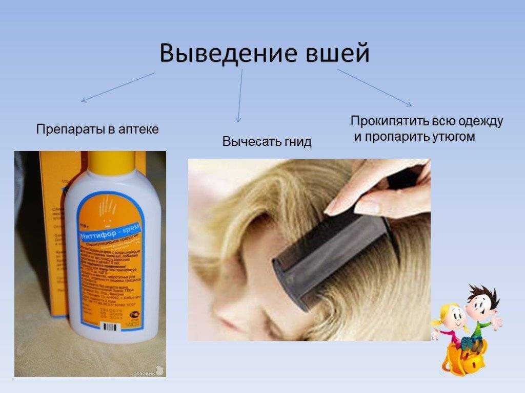 Симптомы педикулеза