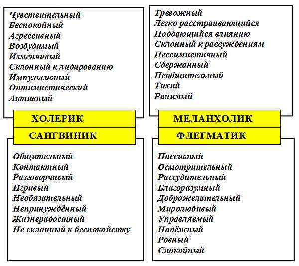 Классификация людей по типам личности: какие бывают, характеристика, 4 психотипа