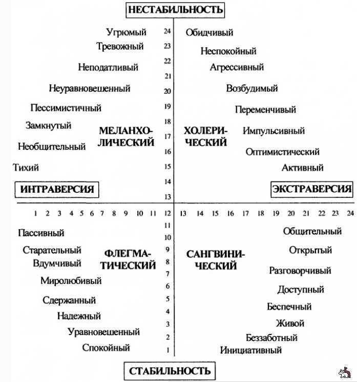 Виды темпераментов, влияние на формирование характера