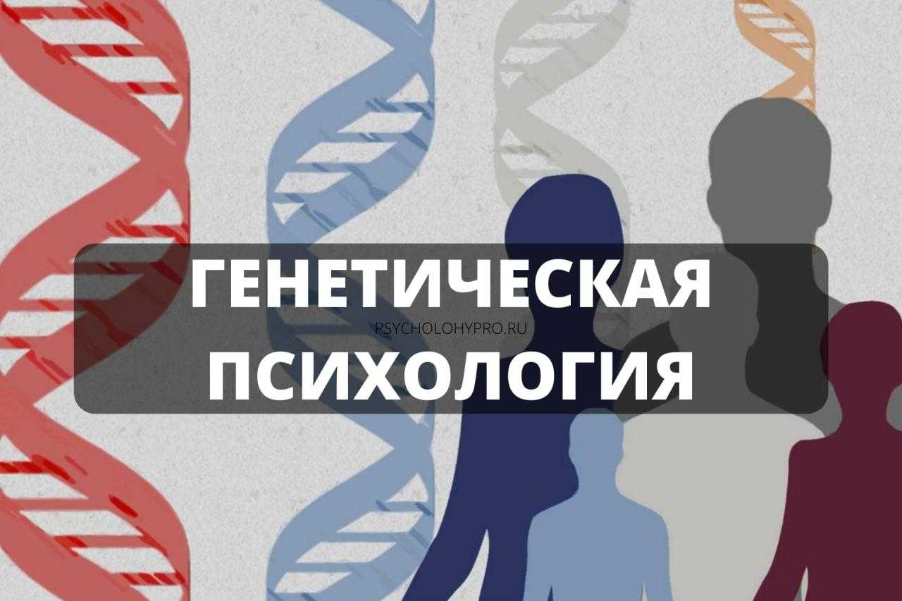 Функции и методы развития интеллекта в психологии