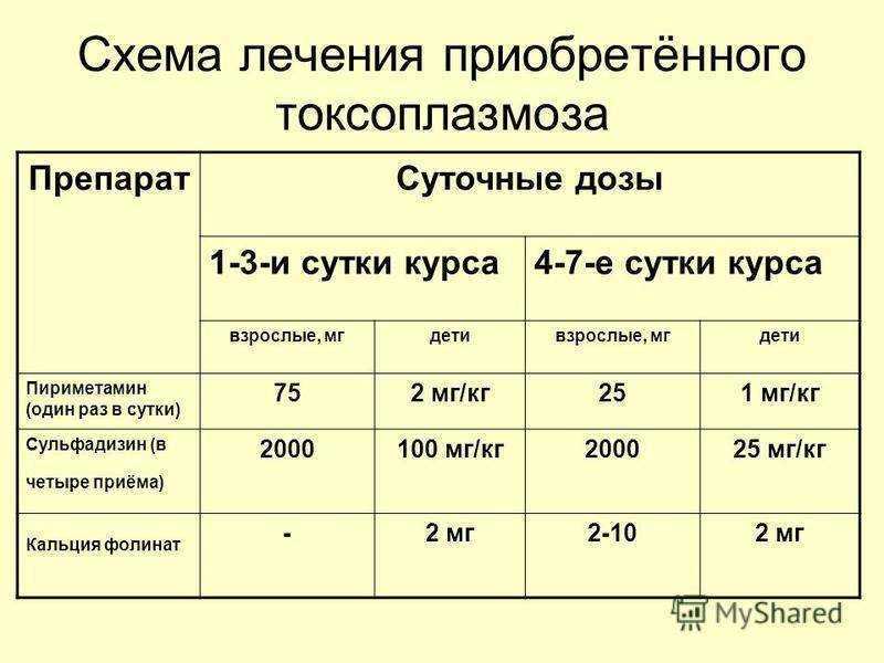 Токсоплазмоз во время беременности: мифы и реальная угроза