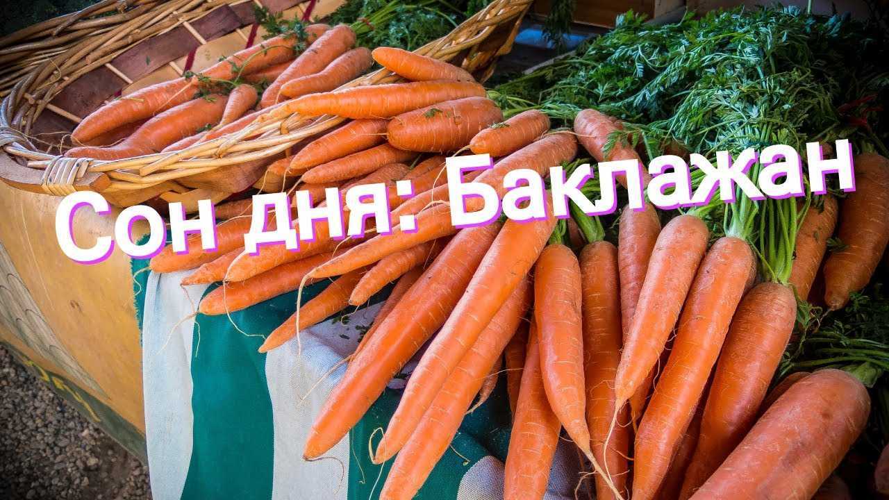 Деньги во сне – интерпретация сновидения
