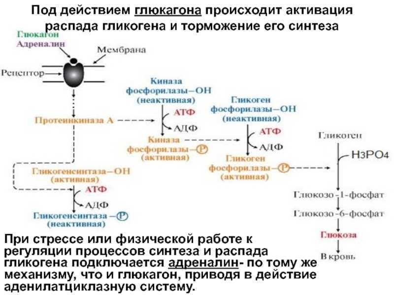 Когда диета не поможет?