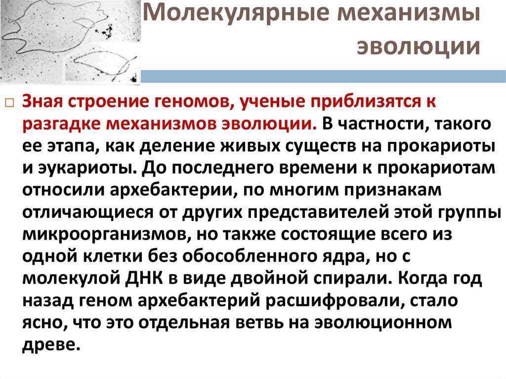 19.6. привязанность детей к родителям. психология общения и межличностных отношений