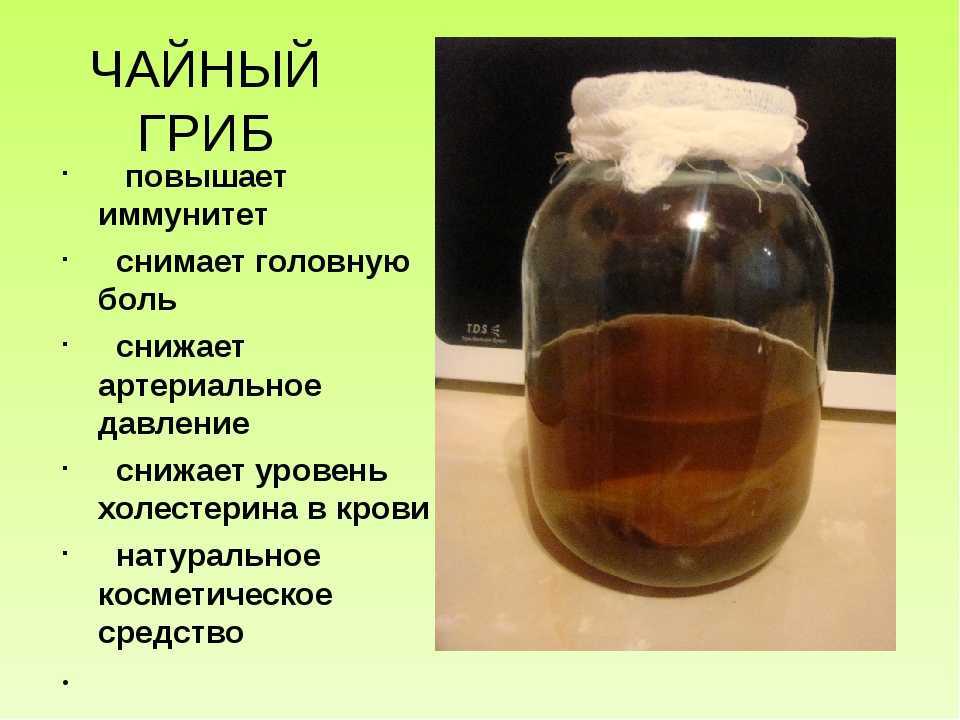 Микроспория