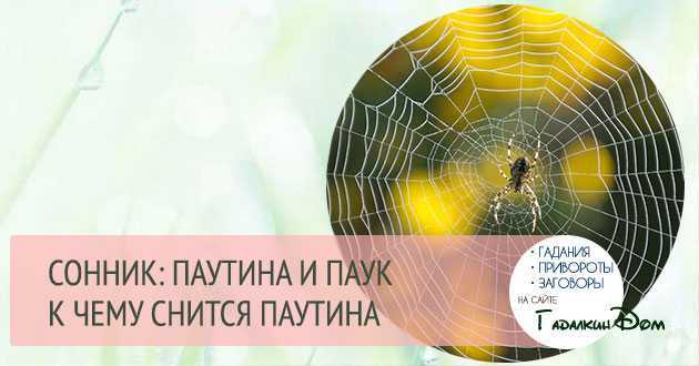 К чему снится паутина? толкование по 47 сонникам
