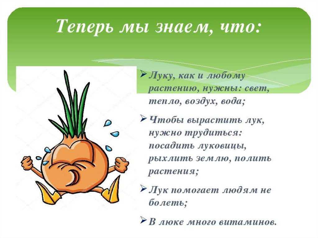 К чему снится лук: репчатый, зеленый, женщине, на грядке, много