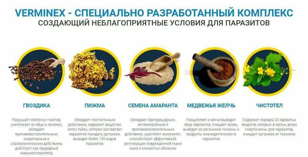 Продукты от паразитов в организме человека – какие убивают глистов