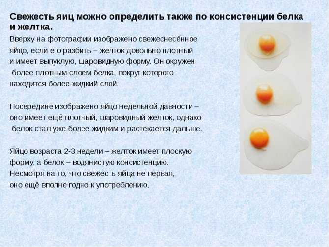Какие яйца более полезные – белые или коричневые? что лучше выбирать и покупать