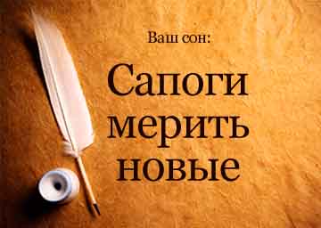 К чему снится ссора с любимым человеком на сайте сонник гуру