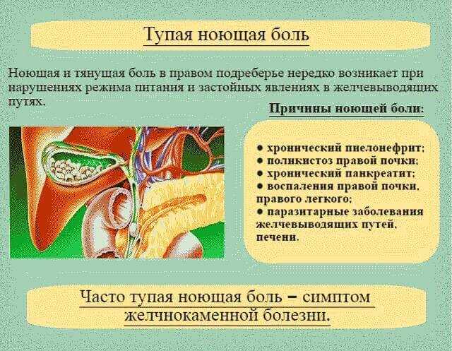 Образ жизни после удаления желчного пузыря