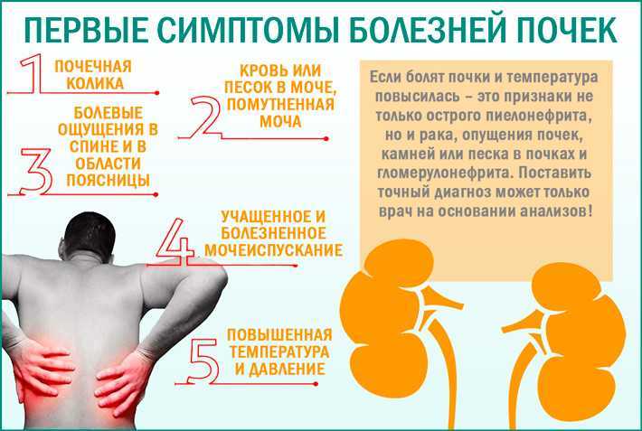 Частое мочеиспускание у женщин без боли - причины лечение частых позывов к мочеиспусканию