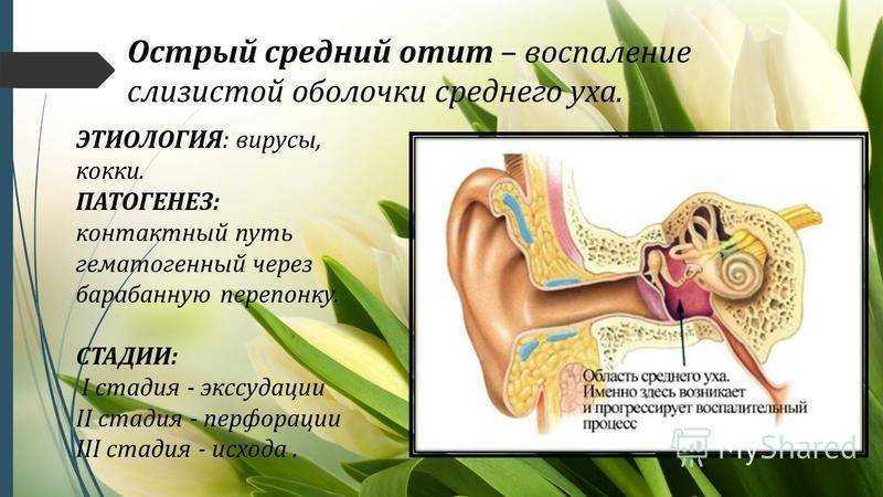 Воспалительные заболевания наружного уха - лечение