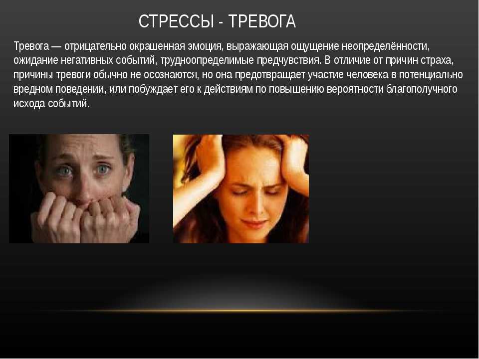 К чему снится лес - трактование для женщины по соннику