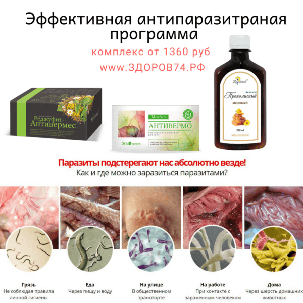 Народные средства от глистов и паразитов у человека: рецепты