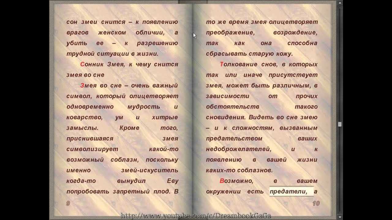 Тайны сонника: к чему снятся змеи мужчине или женщине?