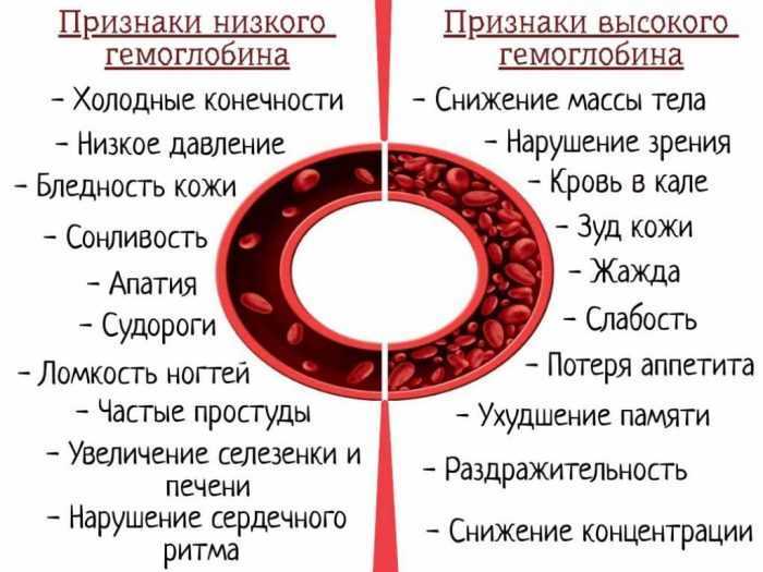 Анемия у пожилых людей