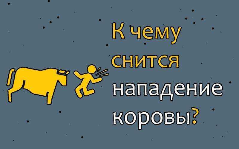 К чему снится бык: женщине и мужчине, большой и разъяренный, убегать от животного