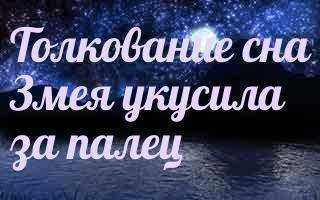 К чему снится черная змея - сонники (женщине, мужчине, девушке), если приснилось, что нападает, кусает, много черных змей