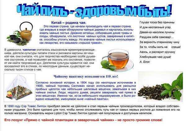 Травяные чаи: как выбрать лучший чай для бодрости или расслабления, похудения или нормализации давления