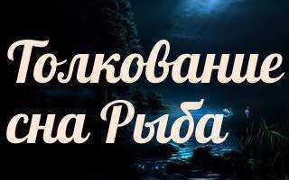 Сонник - рыба к чему снится рыба во сне приснилась