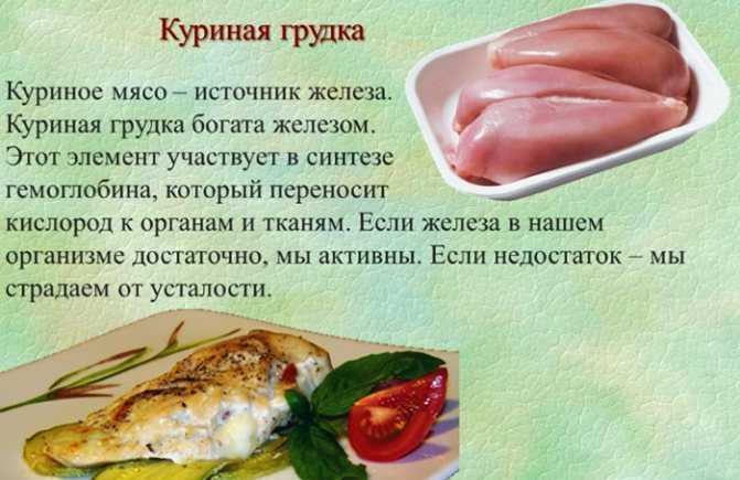 Курица фабричная что в себе скрывает | без палатки.ру