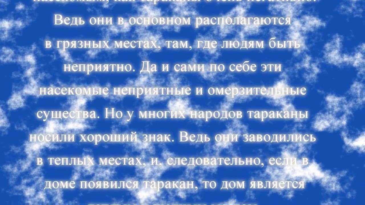 Таракан — к чему снятся тараканы