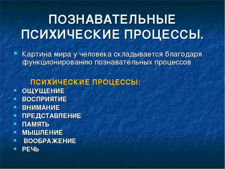 Основные познавательные психические процессы личности: что к ним относится