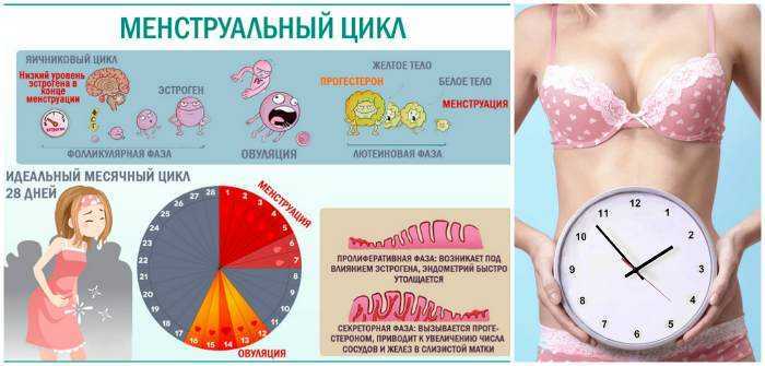 Влияние физических нагрузок на иммунитет  :: polismed.com