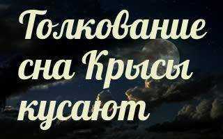 К чему снятся крысы много больших крыс в доме