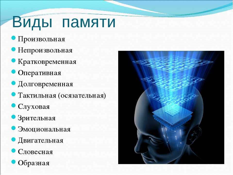 Виды памяти. как мы храним информацию