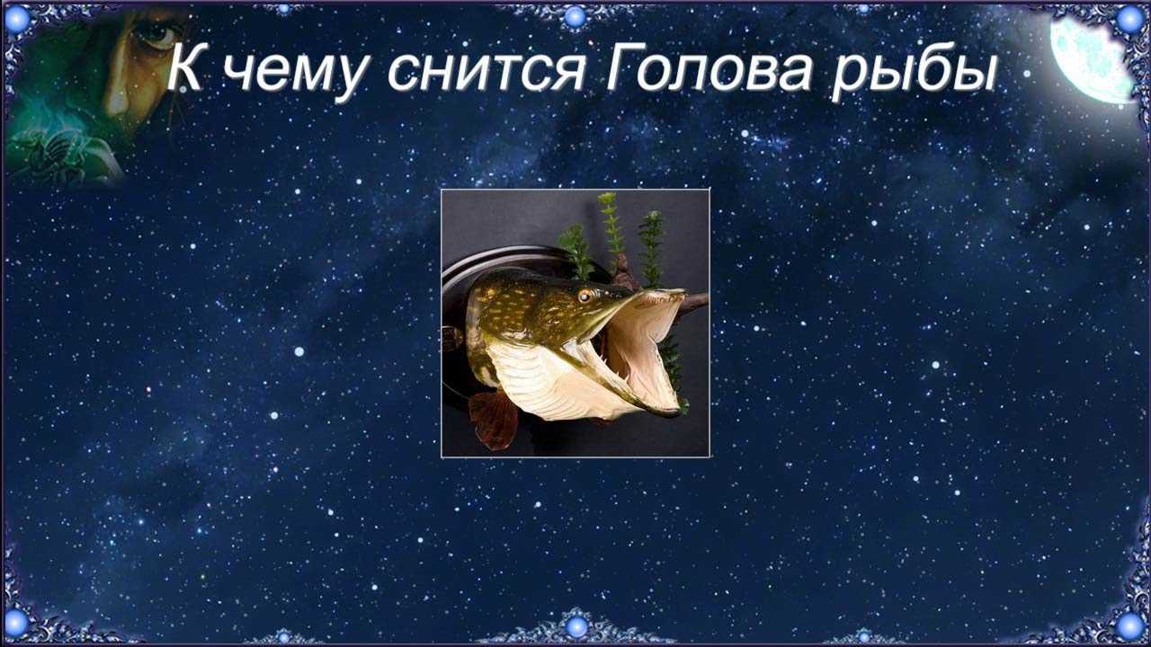 К чему снится мыть голову: что об этом говорят сонники, делали ли вы это во сне себе или другому