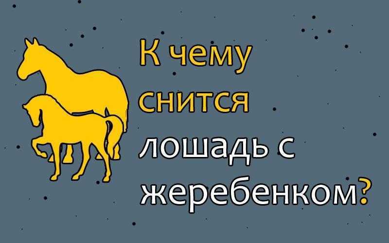 К чему снится лошадь женщине: коричневая (по соннику)