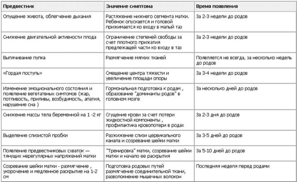Как узнать предвестники и начало родов?