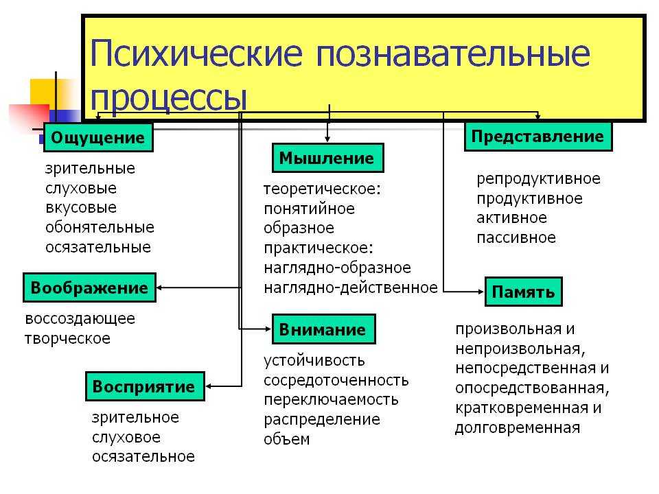 Лекция 6. психические познавательные процессы. деловая психология