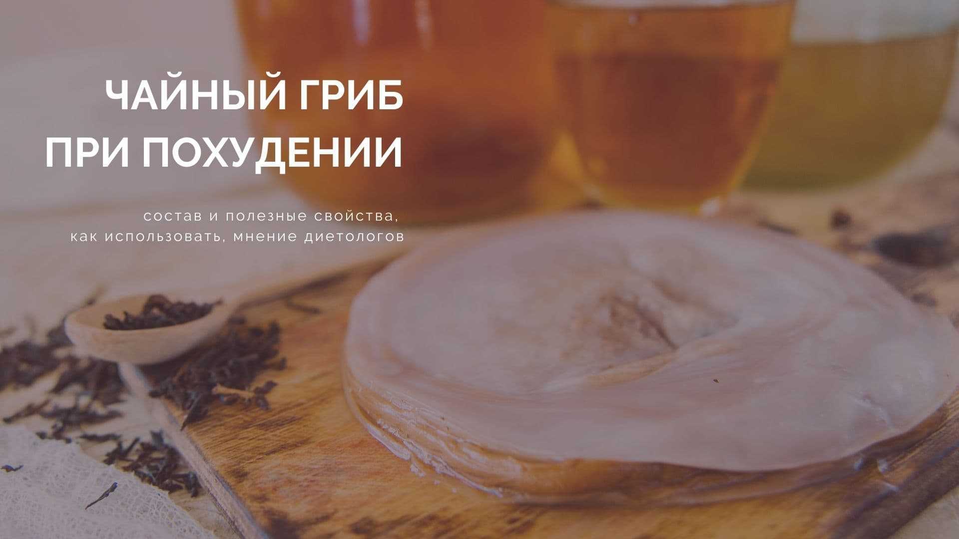 ?чайный гриб как пить ? что лечит ? 7 секретов бодрости