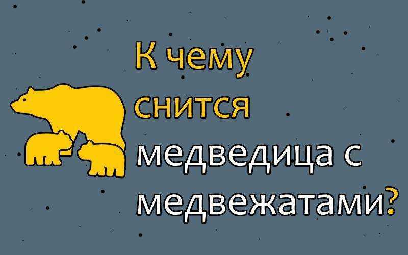 Во сне гонится медведь ? - топ 41 значение ? по разным сонникам: к чему для мужчины или женщины снится бурая или белая медведица, которая бежит и нападает на человека