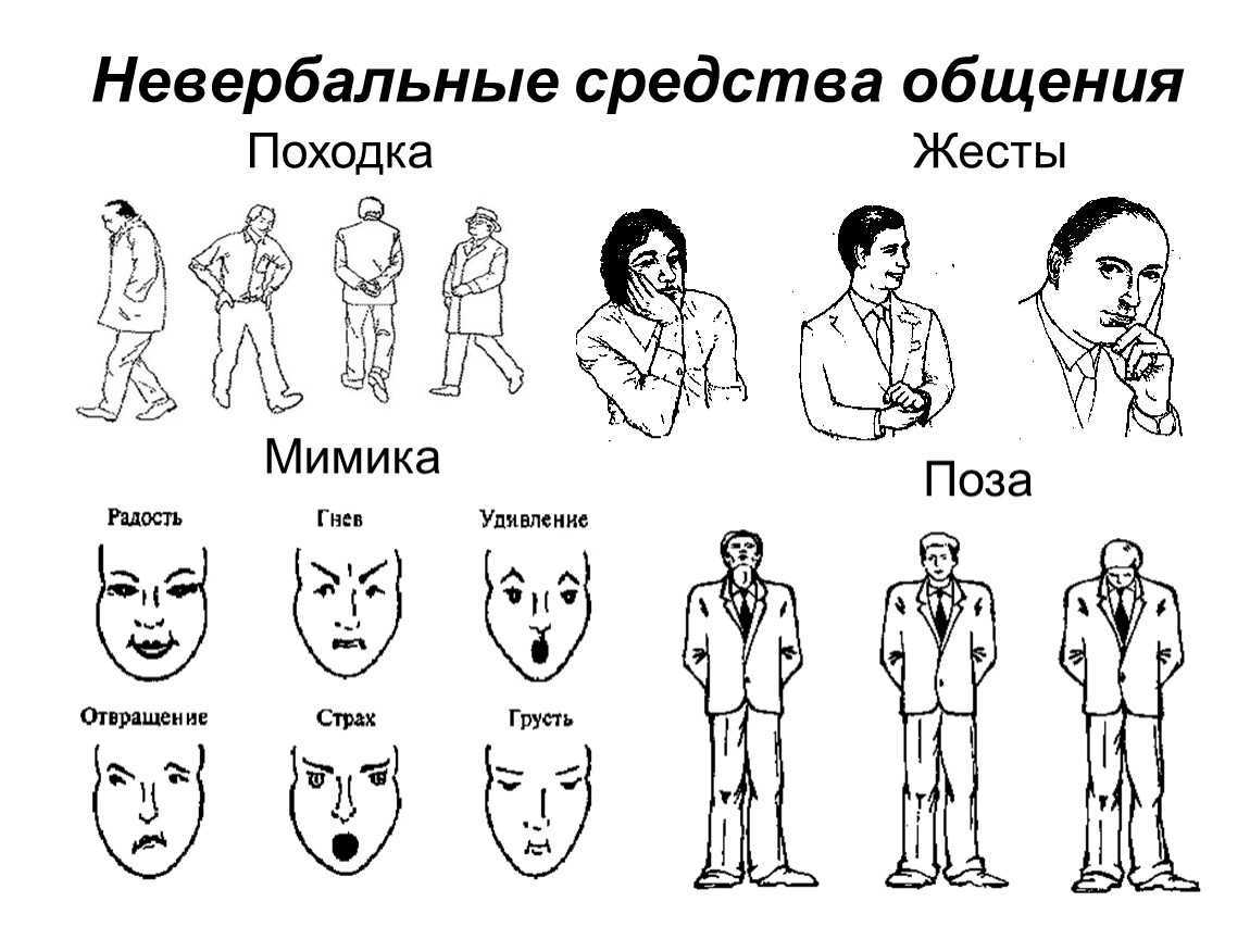 Куда нужно смотреть, чтобы понимать язык тела влюбленного мужчины • фаза роста