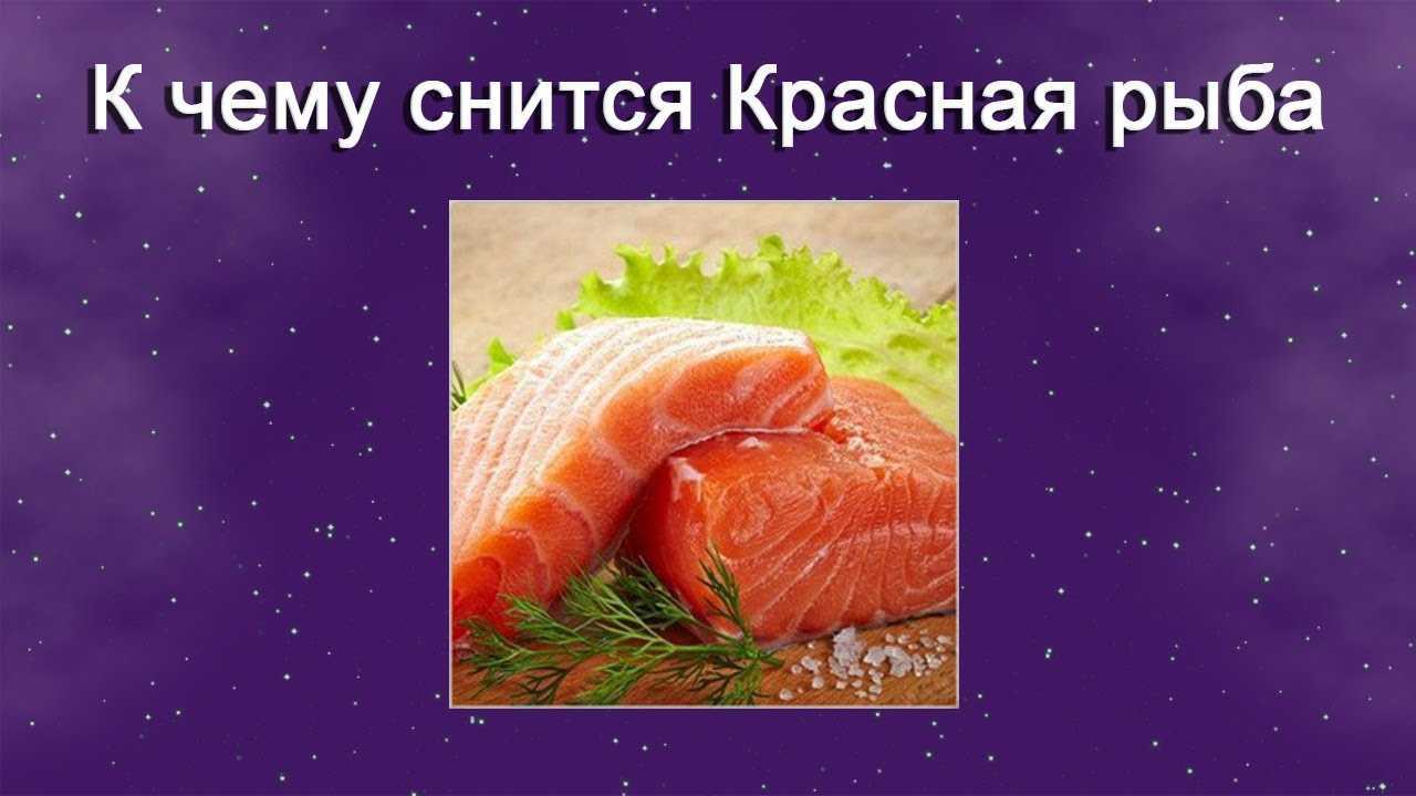 ? сонник живая рыба в руках - x-sonnik.ru