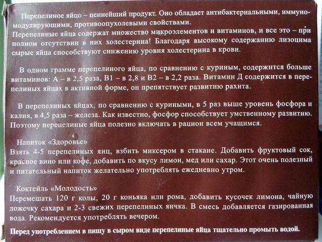 Перепелиные яйца натощак - польза или вред