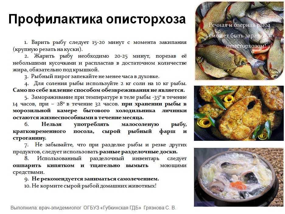 Описторхоз - симптомы, лечение, причины болезни, первые признаки