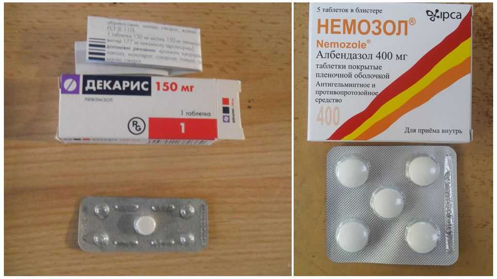 Энтеробиоз у детей - причины заражения, симптомы, лечение, опасность заболевания, профилактика | см-клиника