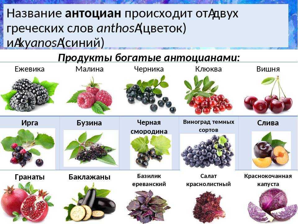 К чему снятся ягоды черной и красной смородины, крупная смородина на кустах
