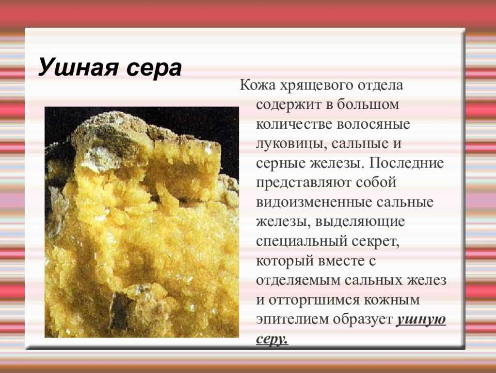 Выделения из уха – норма или тревожный симптом?