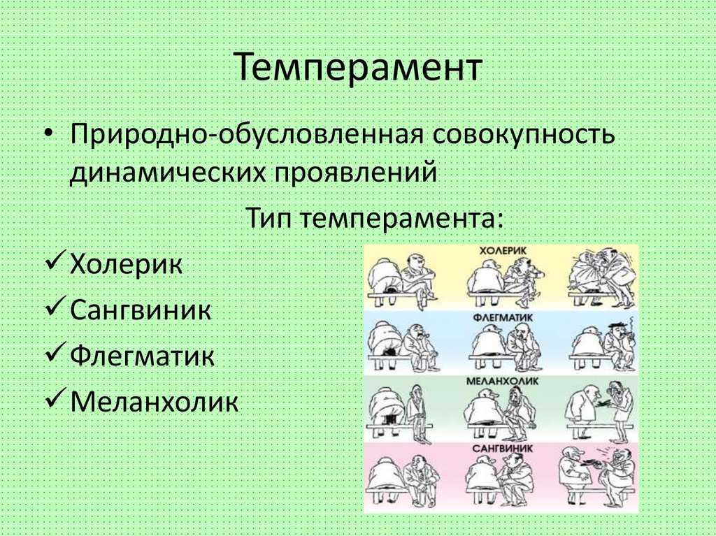 Темперамент. 4 типа психологического темперамента человека - характеристика, особенности, свойства
