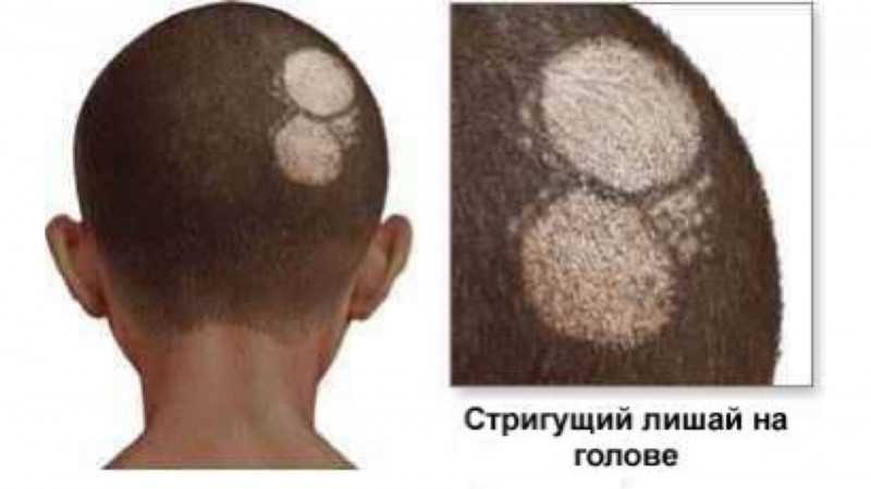 Материалы