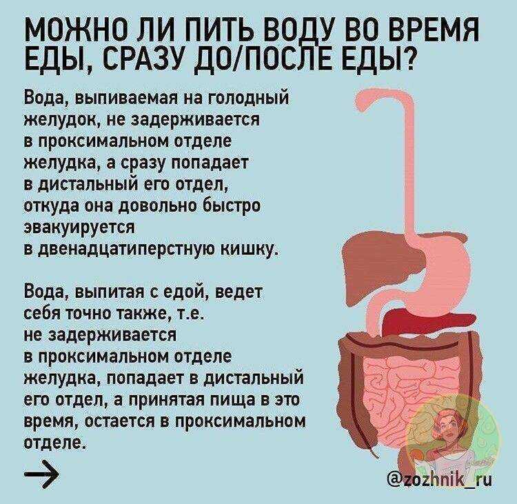 Вода и пищеварение: вредно ли запивать еду? - rss - управление роспотребнадзора по республике марий эл