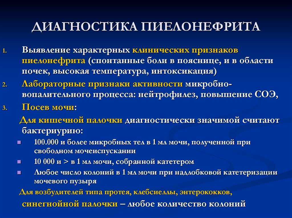 Нефролог является врачом узкой специализации, занимающимся профилактикой, диагностикой и лечением как самостоятельных заболеваний почек, так и поражений почек при заболеваниях других органов и систем