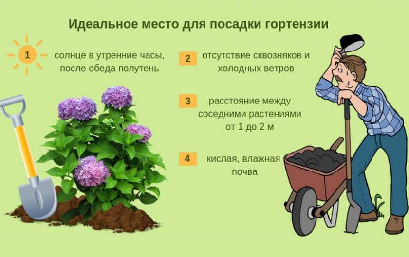 Сонник сборы в дорогу во сне видеть к чему снятся? -